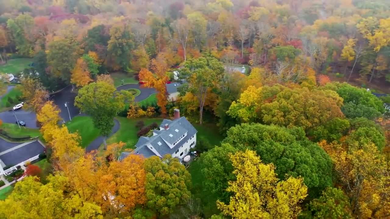 Enchanting Autumn Forests with Beautiful Piano Music