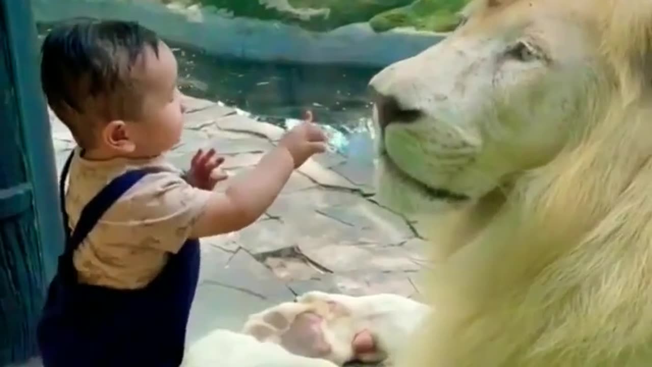 Baby Funny Video 2023 😂🤪
