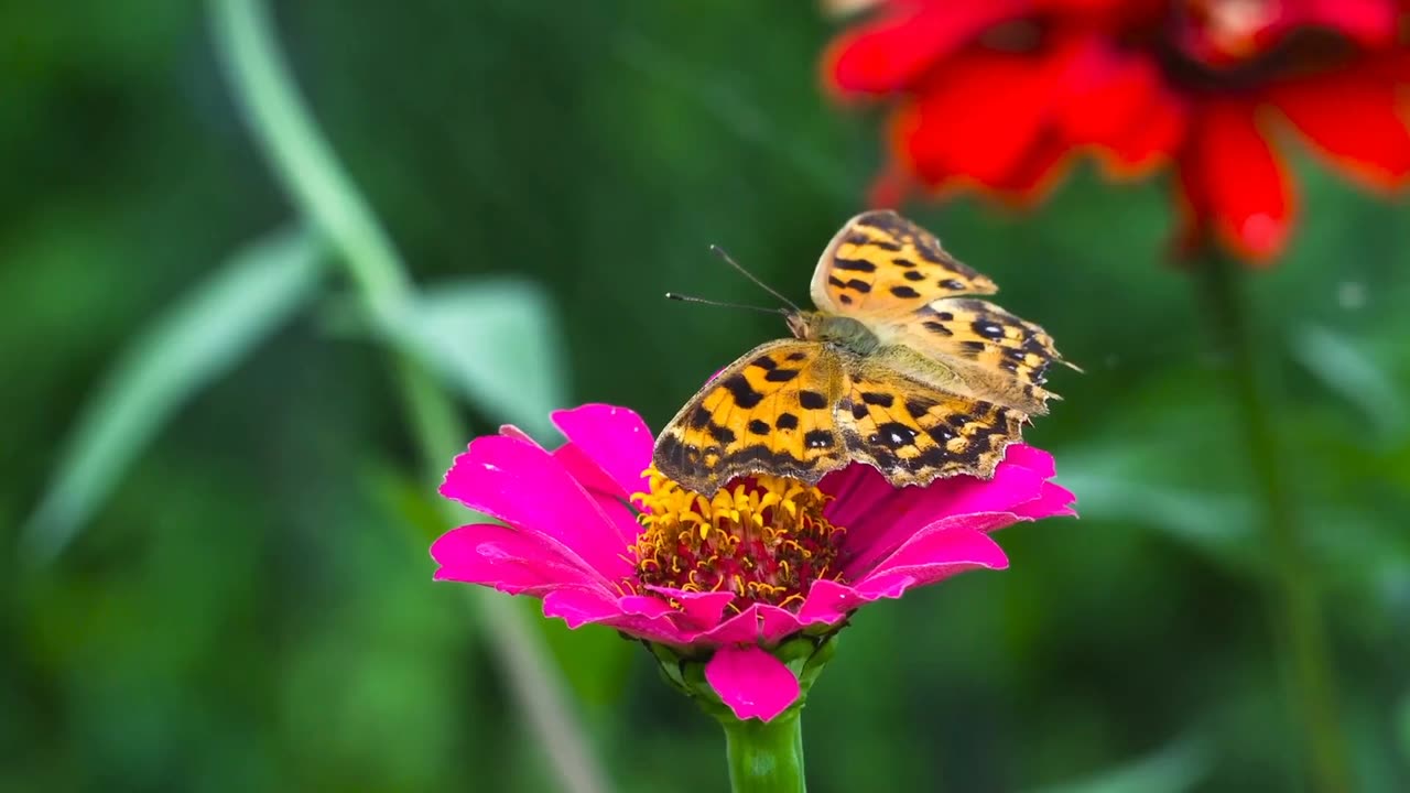 Book of Jeremiah (Chapter 32)