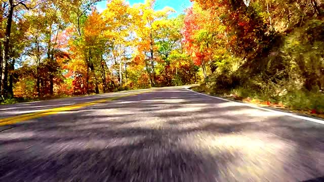 Fall colors on the Dragon, Hwy 129