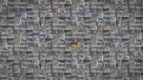 2000 Mules Clip - Video Montage Of Mules