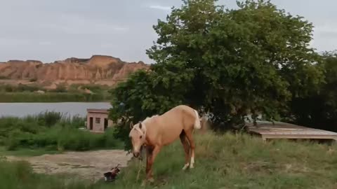 Red dead redemption in real life