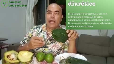 Abacate um Fruto completo para sua saúde 2/2