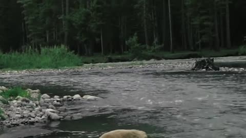 Long drive in mountain