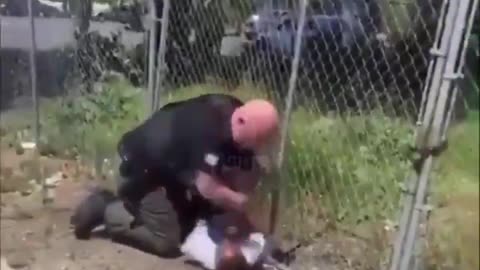 Stop Resisting