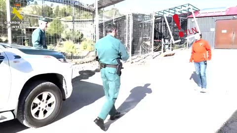 Encuentran un lince africano en el jardín de una vivienda en Marbella