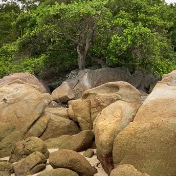 Gr liton Natural Clips, Natural Video Clips # - 64