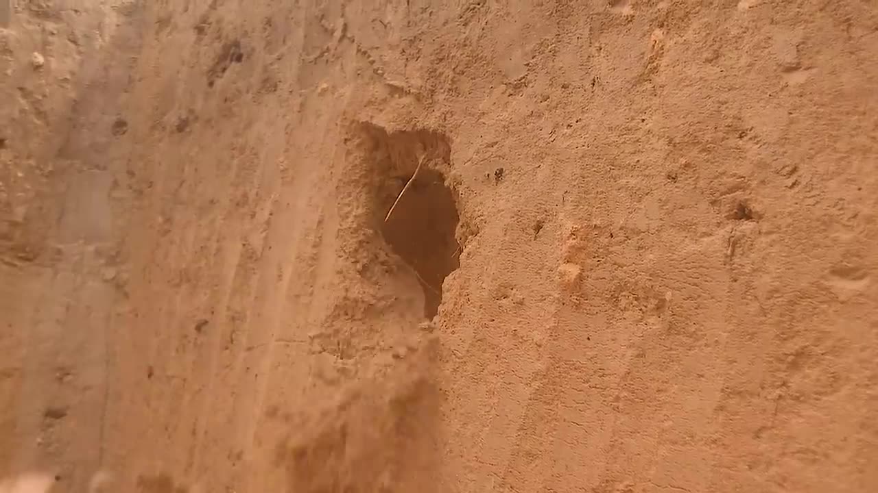 72Days In Jungle And Underground Building