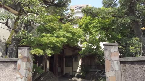 Traditional Tokyo inn gives telecommuters quiet space - The Japan News