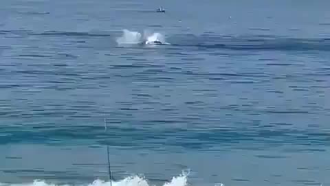 Baleia mergulhando no mar do RJ