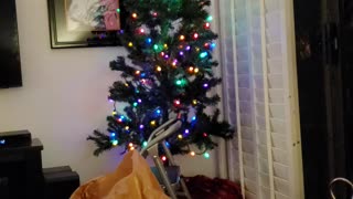 Christmas preparations