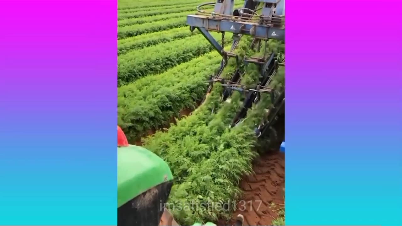 Satisfying video viral video relaxing