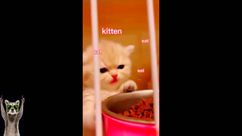 New Funny Animals Video 2023 | Funniest Cats and Dogs Videos | New Funny Video Of Cat And Dogs