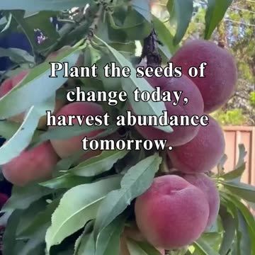 The journey towards self-improvement often starts with a simple yet brave decision