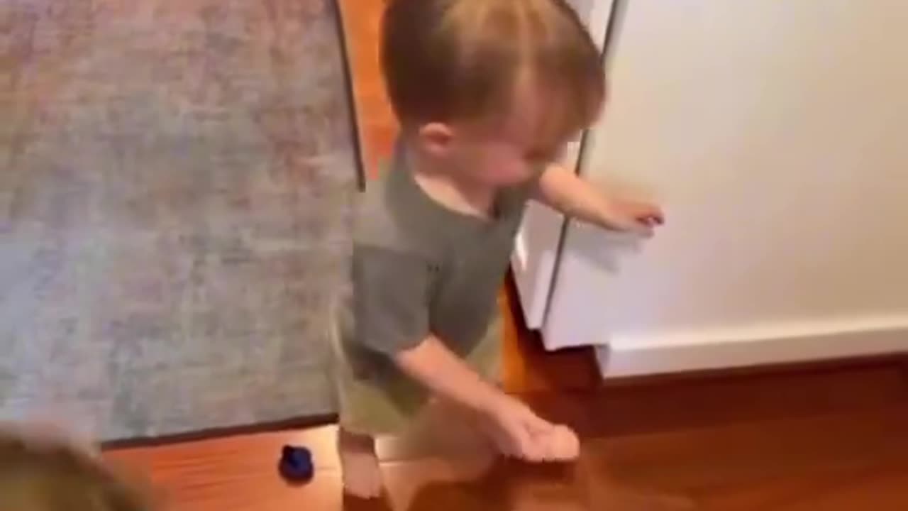 Funny baby videos