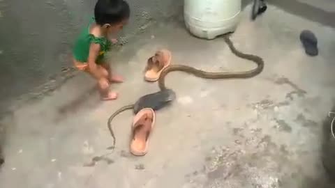 Baby caught snake