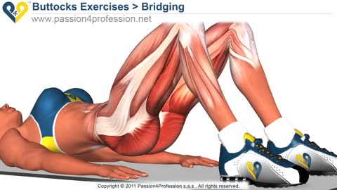 BEST Tone Buttocks exercise - Reduce buttocks and thighs with Bridging exercise