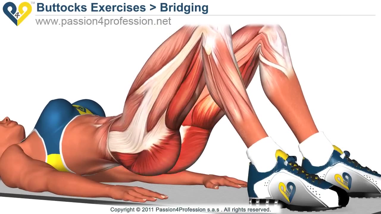 BEST Tone Buttocks exercise - Reduce buttocks and thighs with Bridging exercise