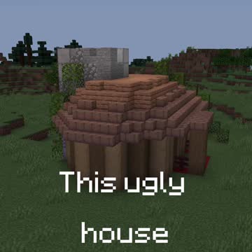Funny minecraft house😂
