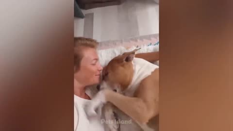 Best Funny Dogs And Cats 😹🐶 - Funniest Animals Videos 2023