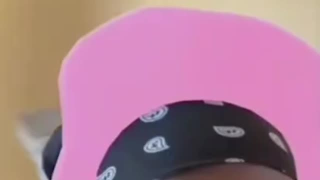 Memes v1