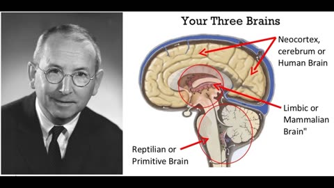 O cérebro trino de Paul D. MacLean