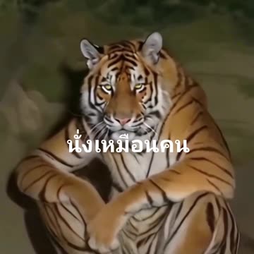 VICTORY BELONGS TO THE EARTH