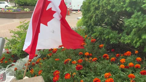 Freedom For Nova Scotia