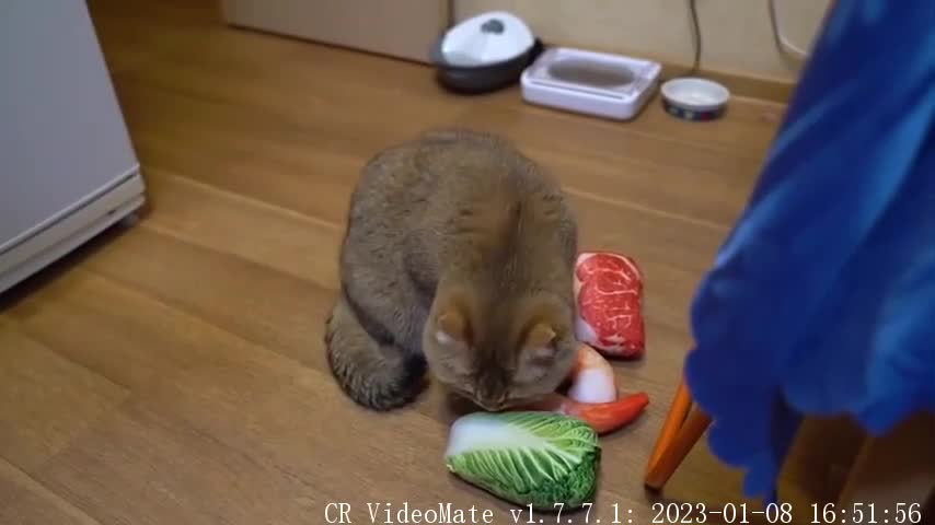 Mom, what's for lunch