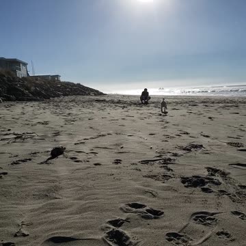 1/22/2022 Beach Trip