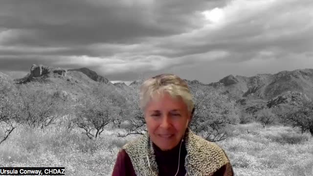 CHDAZ Meditation Mondays with Ursula Conway