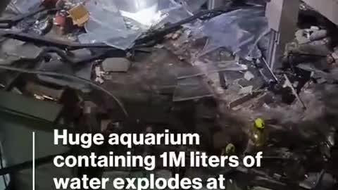 Huge aquarium containing 1M liters of water explodes atBerlin hotel