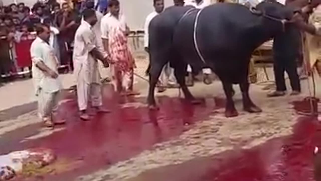 EID - Muslim Festival of Sacrifice