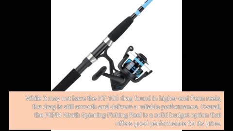 Honest Feedback: PENN Wrath Spinning Fishing Reel