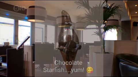The restaurant inspector