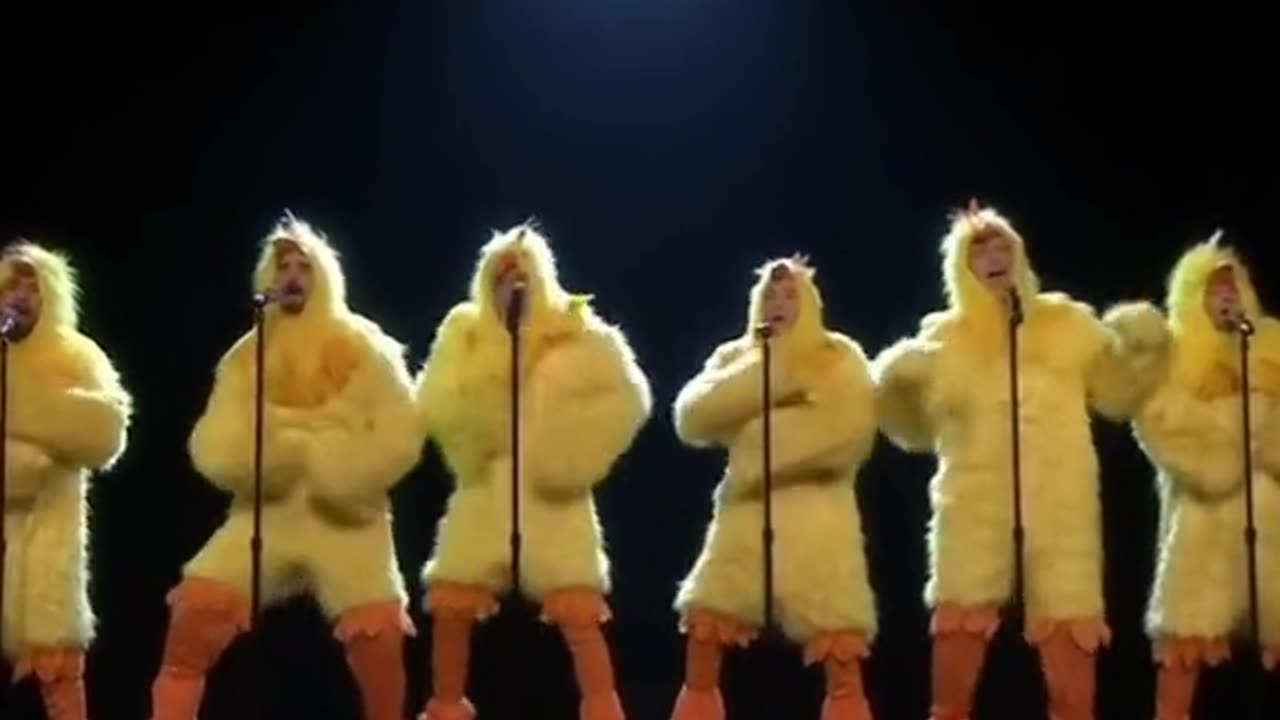 Backstreet boys dressed as ducks