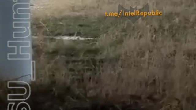 Ukraine: Ukraine military vehicle explodes while crossing river