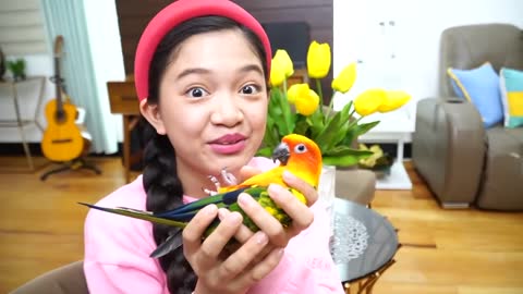 KAYCEE'S PET PARROT SUNNY THE CONURE - KAYCEE in WONDERLAND FAMILYp15