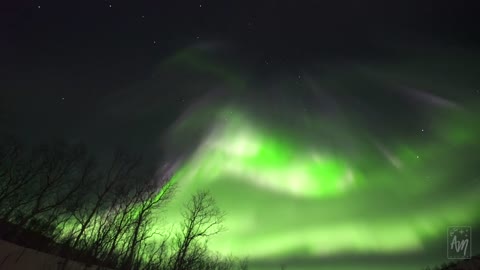 The aurora chase on Senja island - real-time northern lights