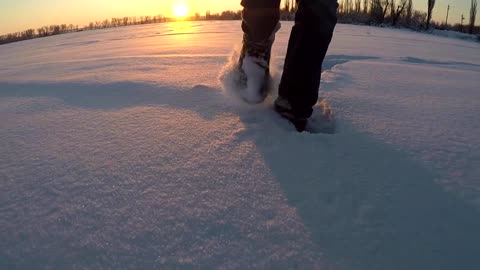 Walking in the morning snow