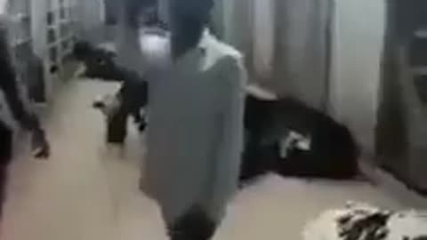 ΤΟΥΣ ΠΗΓΕ ΑΓΕΛΑΔΑ