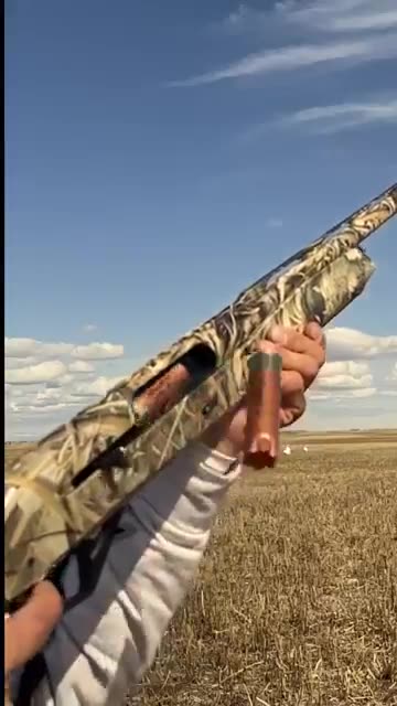 Crushed it with Decoy wear | snow goose