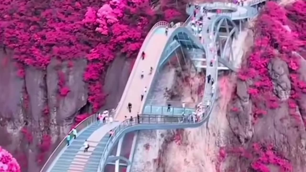 This is out of this world, You Gotta See It!