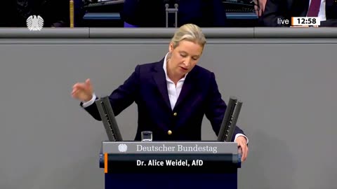 Eine grandiose Rede von Alice #Weidel. Perfekt auf den Punkt gebracht