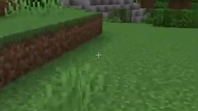 Minecraft Challenge, If You Stop Talking The Video Ends