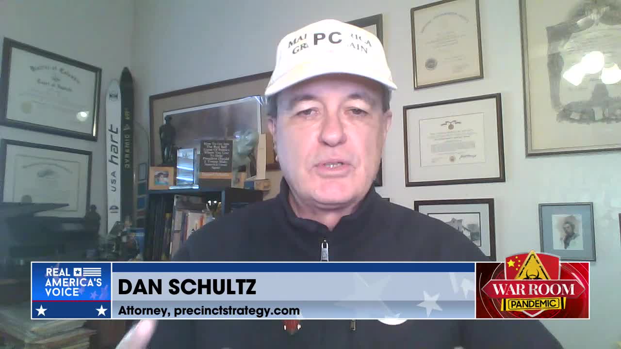 Dan Schultz: They Are Terrified of WE THE PEOPLE