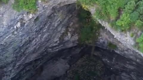 The primeval forest in the sinkhole