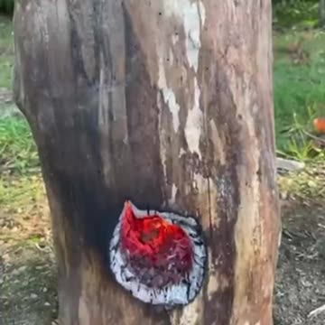 How To Make A Quick Rocket Stove From A Log