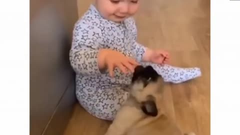 Cutest baby animals Videos Compilation Cute moment of the Animals