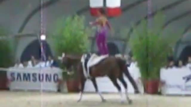 campionato italiano di volteggio equestre 2010